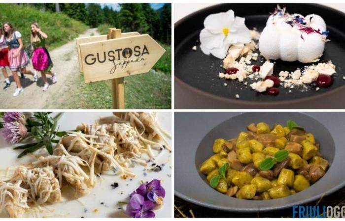 Tasty Sappada, el recorrido para descubrir las excelencias de Friuli