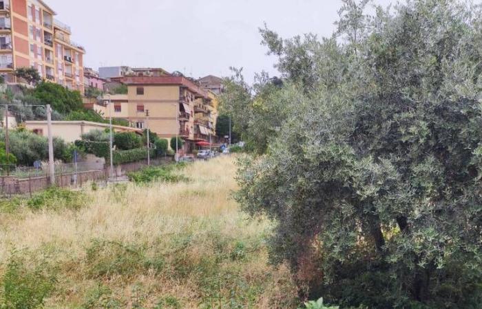 Velletri, la residencia de ancianos Berardi (una jungla en decadencia) corre peligro de incendio… y la reapertura se aleja