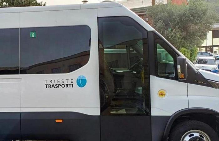 Subida Gretta cerrada, aquí está el minibús que dará servicio a la línea 12 de Trieste Trasporti