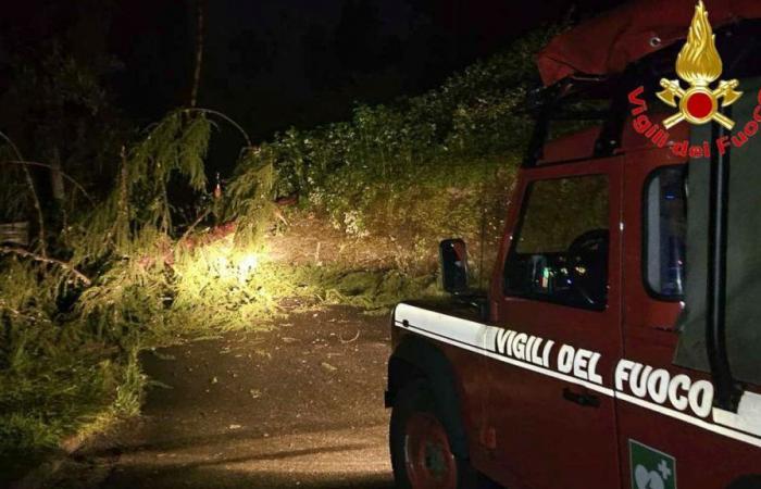 Ola de mal tiempo, más de 340 intervenciones de los bomberos en Lombardía