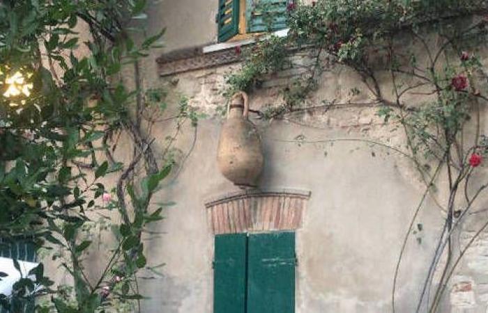 Un “león” y más jardines interiores: las puertas se abren en la casa Bagioli / Cesena / Inicio