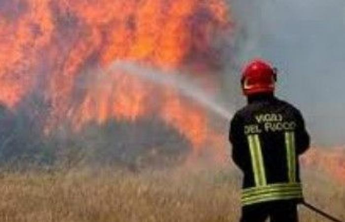 Incendios forestales en Puglia: el informe de los bomberos – Pugliapress