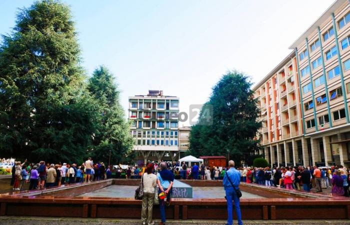 Todavía en Piazza Europa defendiendo los cedros del Atlas: “cortarlos es un crimen medioambiental”