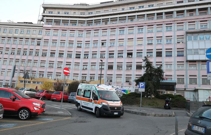 Niño en coma tras accidente automovilístico con un hombre borracho: los padres hablan – Turin News