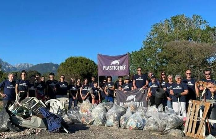 35 bolsas para 500 kg de residuos: Plastic Free limpia el parque Ugo Pisa