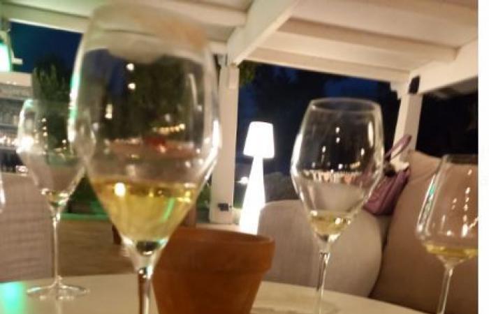 FICO, la nueva propuesta de verano de Tenuta Villa Guerra en Torre del Greco – Blog de vino Luciano Pignataro