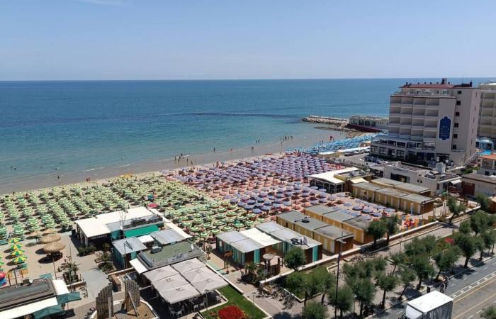 Pesaro y Apa Hotels eligen a Marco Filippetti como nuevo presidente – Noticias Pesaro – CentroPagina