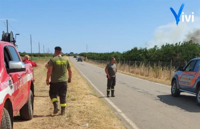 ViviWebTv – Palagianello | Llamas en el campo de Palagianello: bomberos y protección civil en acción