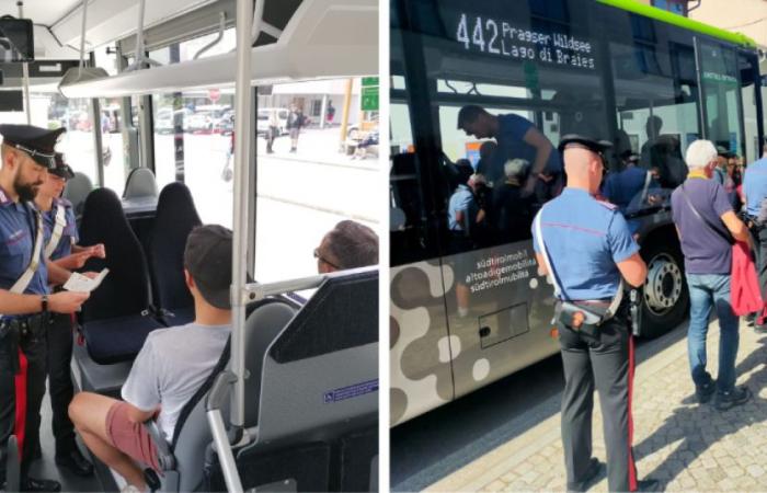 A bordo del bus sin boleto, ataca a trabajadores del servicio público con amenazas e insultos: denunciaron