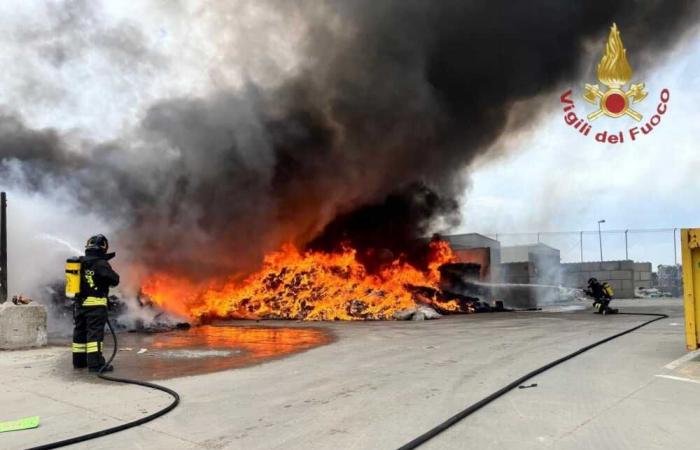 Incendio en la zona industrial de Civitavecchia: la intervención de los Bomberos y los Carabinieri