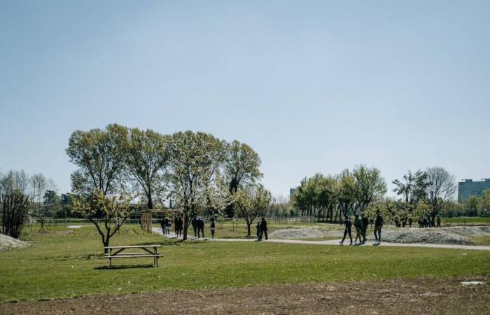 En la granja “Tenuta Urbana”, picnic en la naturaleza y películas bajo las estrellas a las afueras de Brescia