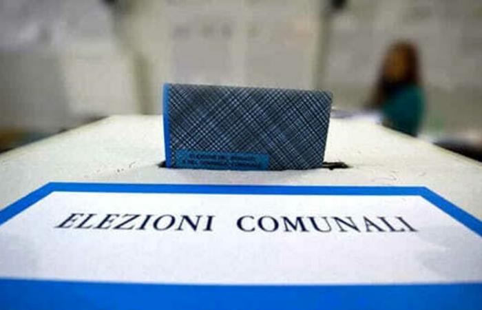 Votaciones municipales 2024, datos de participación a las 12 horas en Bari, Putignano y Santeramo