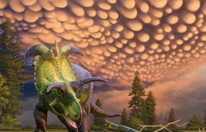 Dinosaurio, aquí está el lokiceratops, el gigante (herbívoro) que toma su nombre del dios Loki