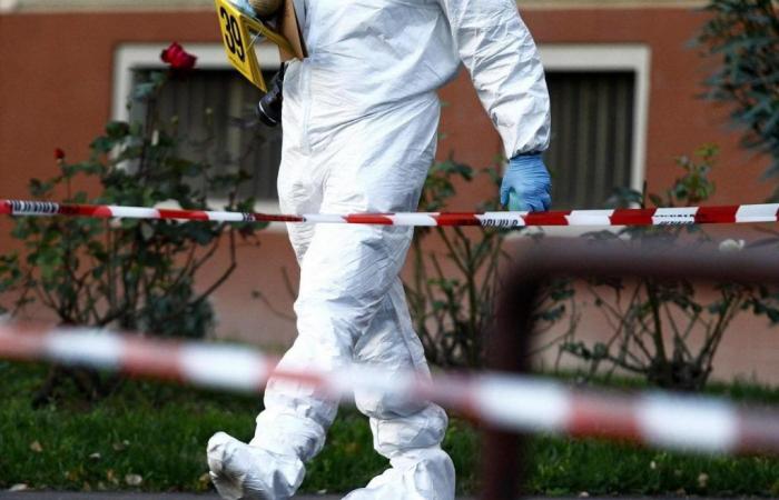 Crimen en Fano, marido y mujer encontrados muertos en su casa: investigaciones en curso