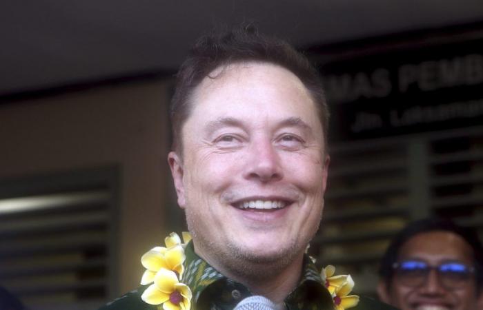 Elon Musk es padre por duodécima vez, la noticia del nacimiento de su tercer hijo con Shivon Zilis