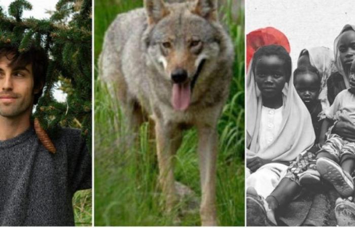De la guerra de Sudán a la presentación del libro “Sottocorteccia” con Pietro Lacasella y L’AltraMontagna, de los lobos a Fabrizio De Andrè: aquí está el verano de Arci en Brentonico