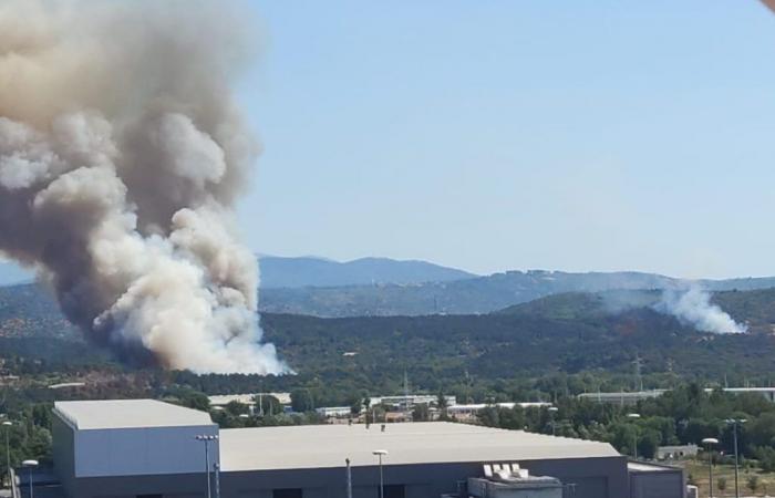 Riesgo de incendios de verano en Fvg, el sistema de emergencia de la Región está listo • Il Goriziano
