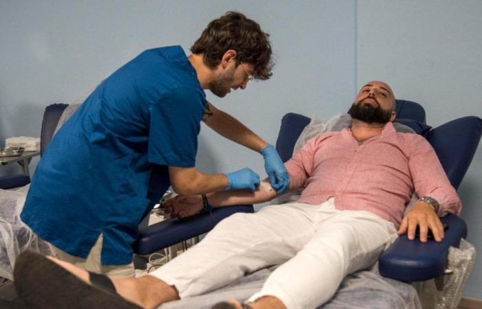 “Faltan 500 donantes de sangre”, llamamiento del hospital Cervello de Palermo