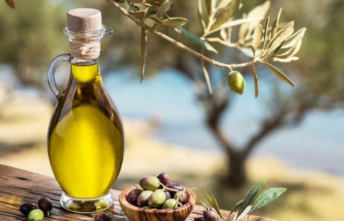 Aceite de oliva, el precio bajará a la mitad a partir de julio: el Gobierno ya lo ha decidido | Eliminación del IVA para quienes viven aquí