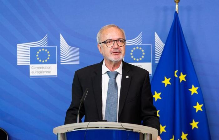 BEI: el fiscal de la UE investiga al ex presidente Hoyer y le revocan la inmunidad