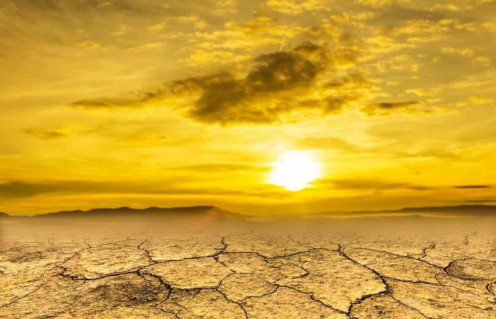 Tiempo, sequía en Sicilia: un fenómeno climático nunca antes visto. El sur de Italia y Cerdeña también están implicados.