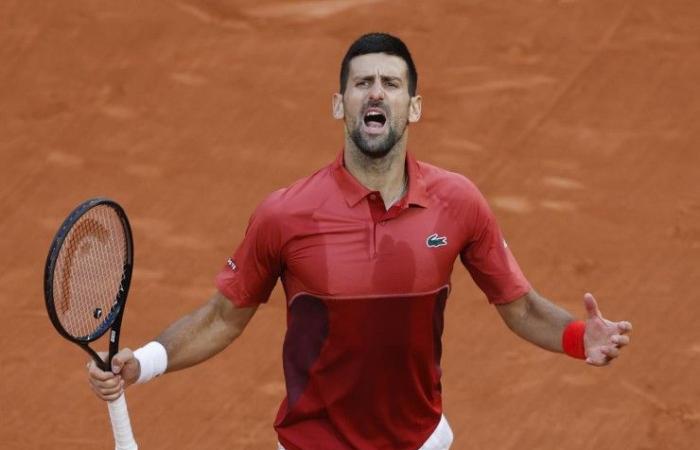 Esta vez hicieron un gran problema: el desastre de Djokovic