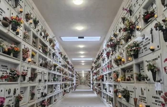 Colecciones y Servicios de Lucca: “Cementerios, existe un plan continuo de mantenimiento ecológico”