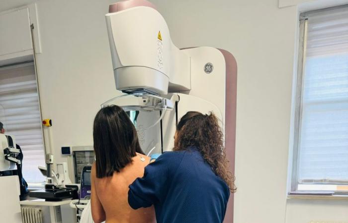 Quince Molfetta – Biopsia en 16 minutos durante una mamografía en el ASL Bari