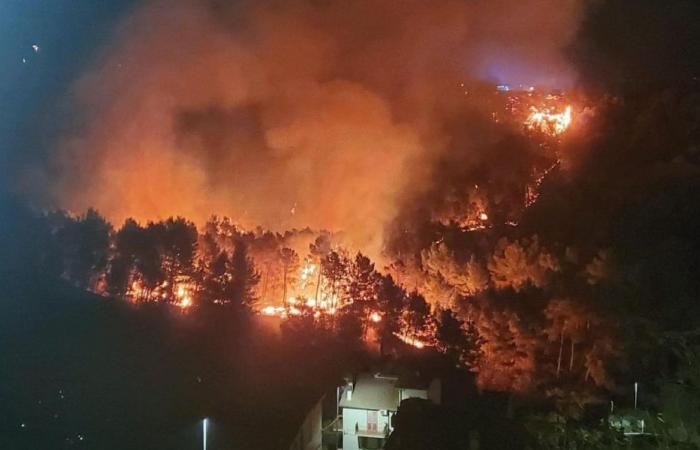 Miedo y daños por el gran incendio en Rocca Imperiale. El alcalde denuncia: “4 horas de retrasos en el rescate”