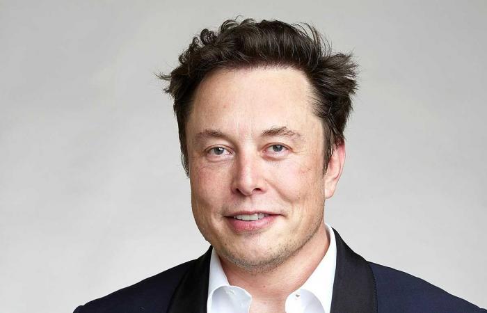 Elon Musk se convierte en padre por duodécima vez