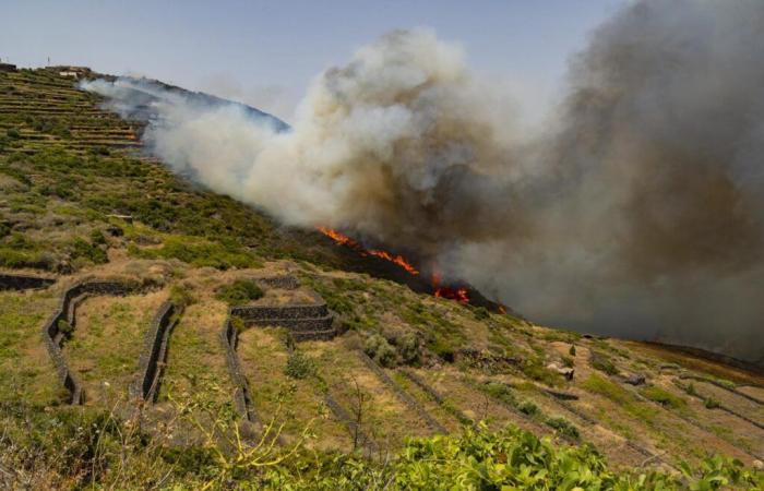 El grupo de bomberos forestales llega a Pantelleria