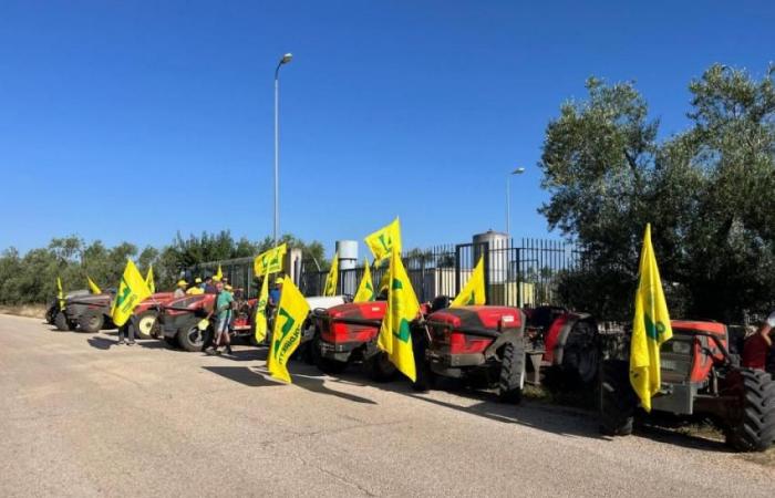 Sequía, tractores encadenados frente a pozos en Bitonto. La iniciativa de Coldiretti – PugliaSera