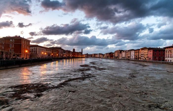 Concesiones para el relanzamiento de empresas en Toscana: solicitudes abiertas a partir del 9 de julio
