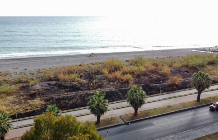 Praia a Mare, el espacio natural arrasado por las llamas: «¿incendio accidental o intencionado?»