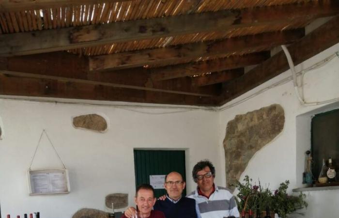Semana del Vino de Cerdeña – La Comunidad de Carignano a Piede Franco de Sant’Antioco y la técnica de la planta subterránea para llenar vacíos