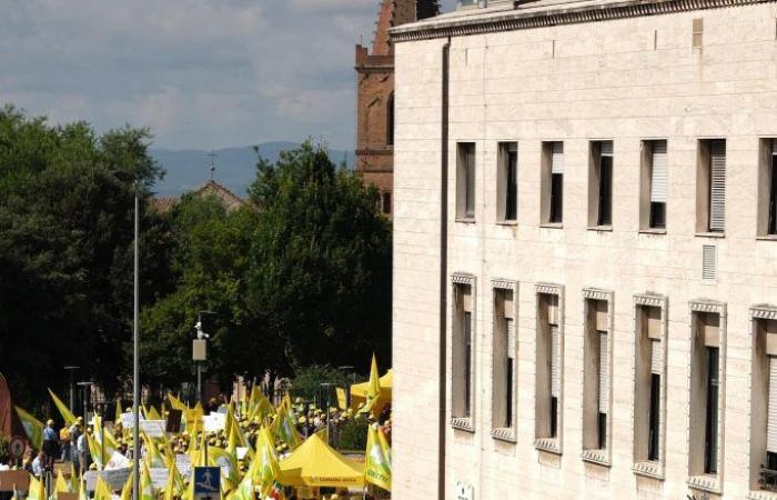 Coldiretti colorea Perugia de amarillo y Tesei promete: «Contención de los jabalíes»