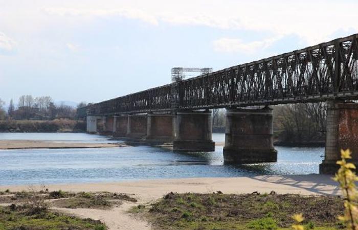 El 26 de junio, jornada sobre la gestión de los grandes ríos en Confagricoltura – VDA News