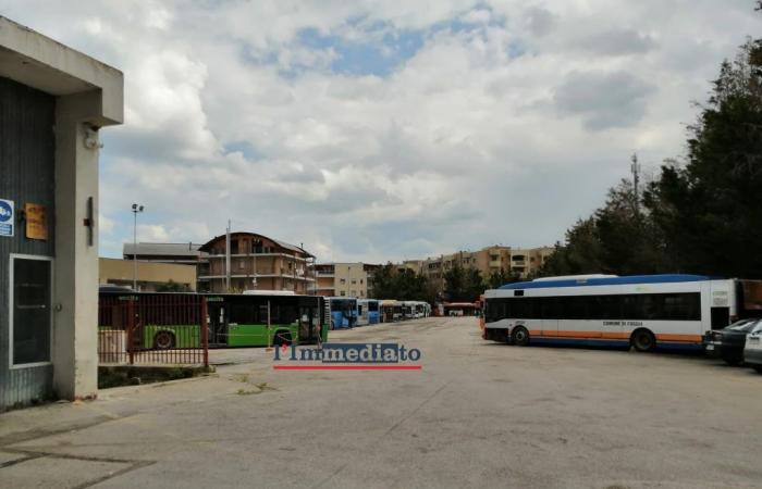 Ataf Foggia, se libera el patio de la empresa. 42 autobuses viejos van al desguace