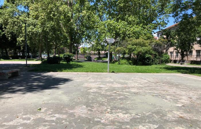 Canchas de baloncesto y voleibol destrozadas, los jardines están prohibidos para los niños – EL VIDEO – Turín News