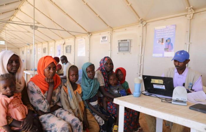 ONU: La Agencia para los Refugiados pide apoyo internacional urgente en la crisis humanitaria en el este de Chad