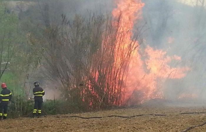 Incendios forestales, la Región renueva el convenio con los Bomberos con 2,5 millones
