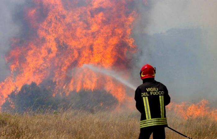 Lucha contra los incendios forestales: la región de Sicilia renueva y financia el acuerdo con los bomberos con 2,5 millones