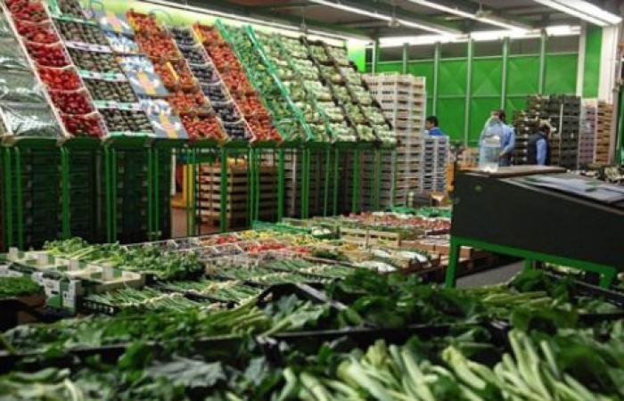Las exportaciones de frutas y hortalizas van bien en Catania: los tomates disminuyen en Siracusa y Ragusa