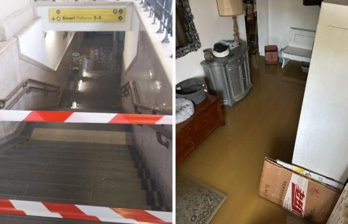 Mal tiempo en Pistoia, casas inundadas y árboles caídos – Vídeo Il Tirreno
