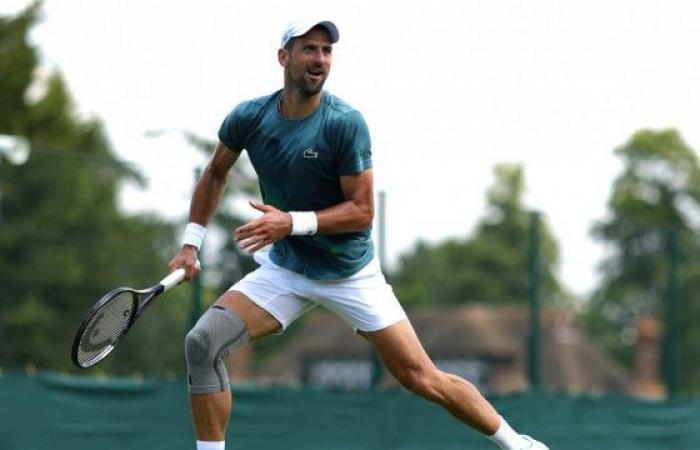 Wimbledon, Djokovic advierte a Sinner y Alcaraz pero estalla la polémica en las redes sociales por “la operación falsa”