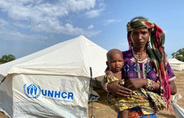 ONU: La Agencia para los Refugiados pide apoyo internacional urgente en la crisis humanitaria en el este de Chad