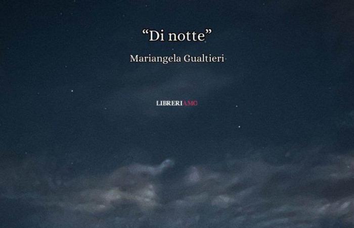 “De noche” de Mariangela Gualtieri, el extraordinario poema para leer cuando termina el día