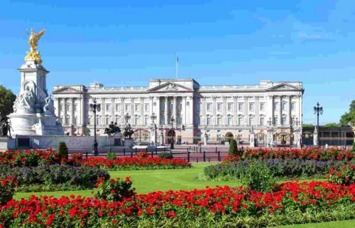 “Está sufriendo un trato despiadado”: las lágrimas brotan en el Palacio de Buckingham | La situación es muy peligrosa.