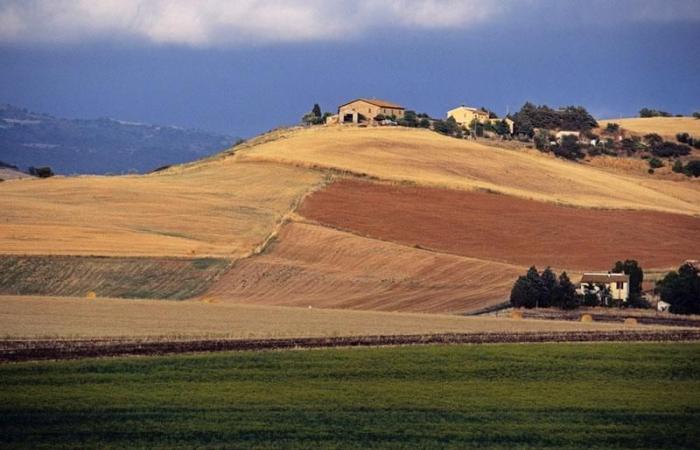 Toscana, una licitación de 2 millones para la formación de empresarios agrícolas