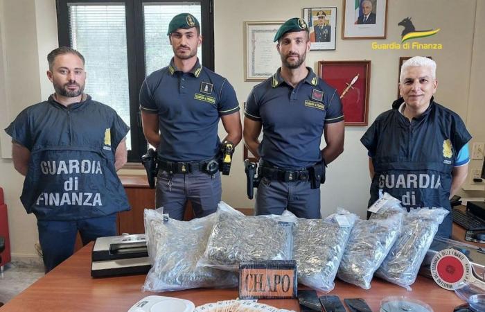 Marihuana y cocaína escondidas entre cajas de libros y muebles de cocina, detenida en la zona del Vibonese